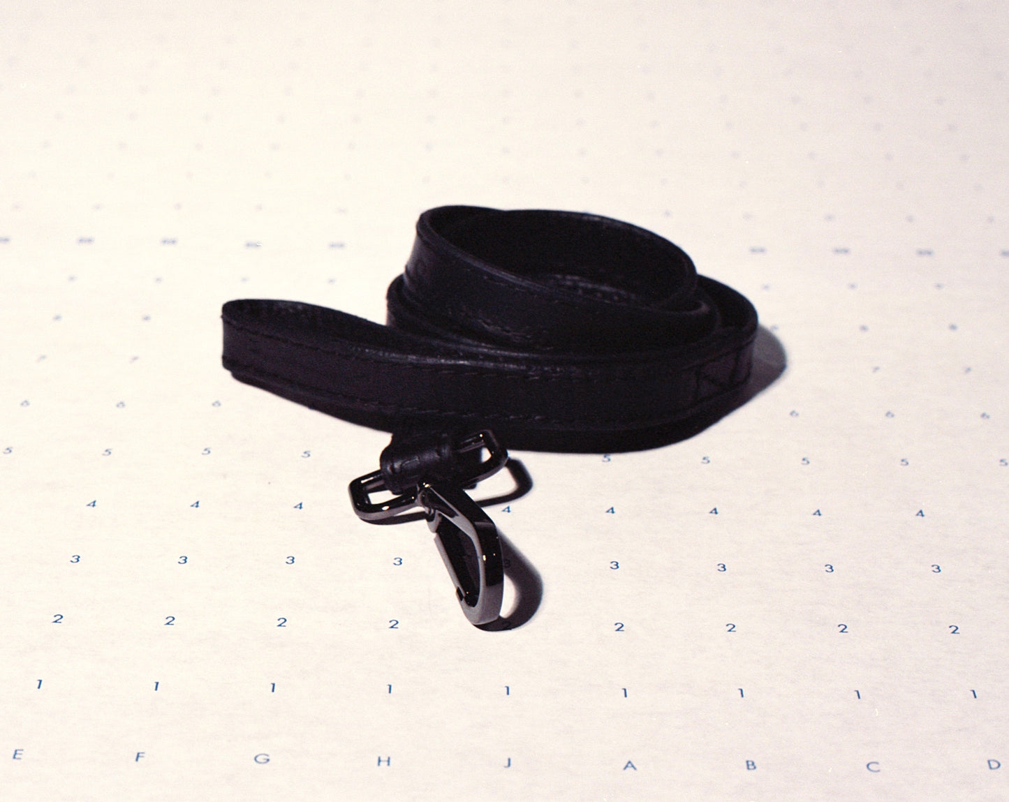 Dion’s Leash