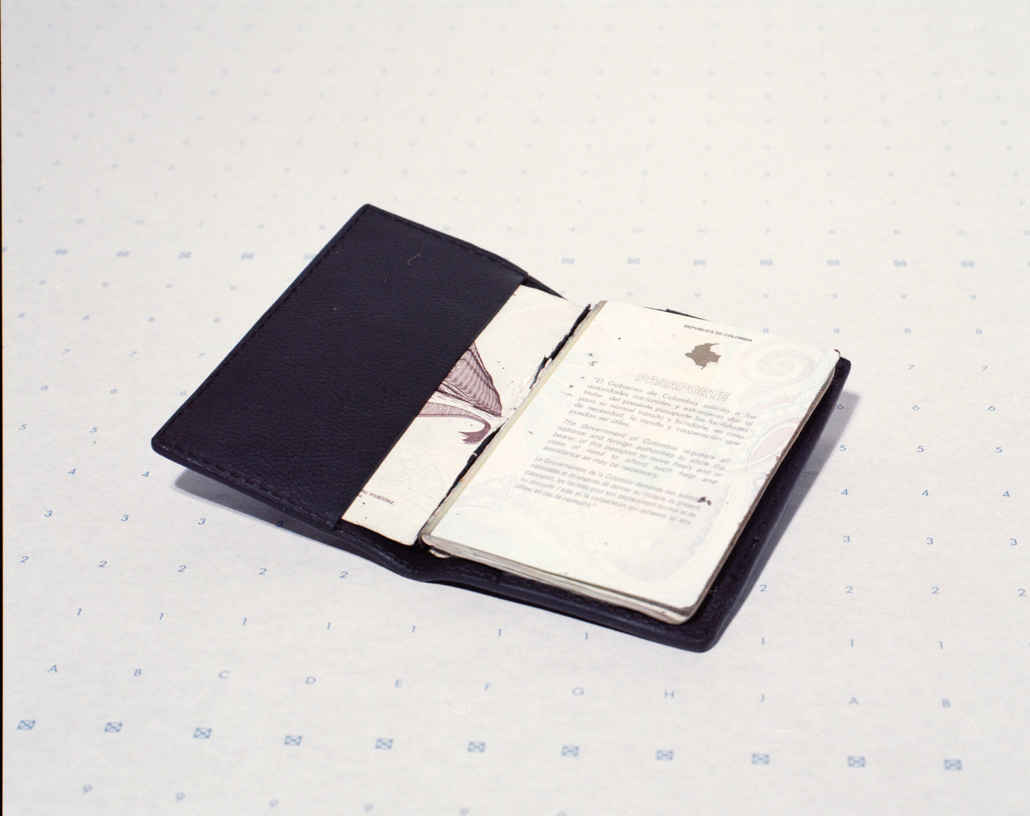 Passport Cover