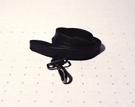 Dion’s Leash