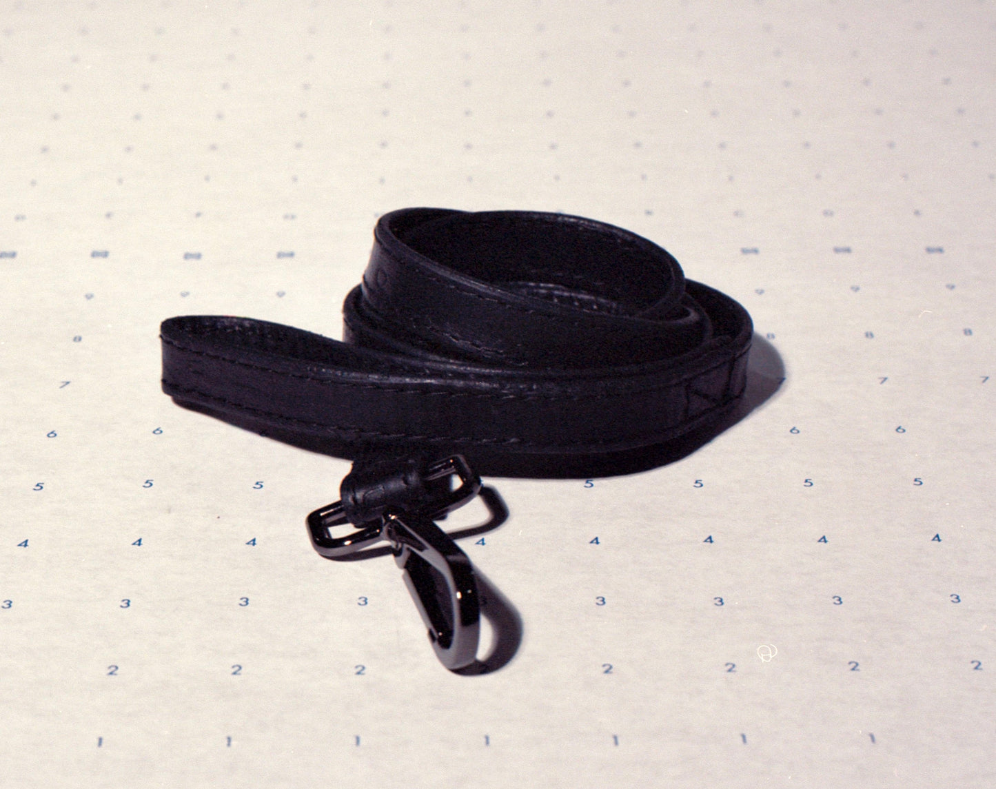 Dion’s Leash