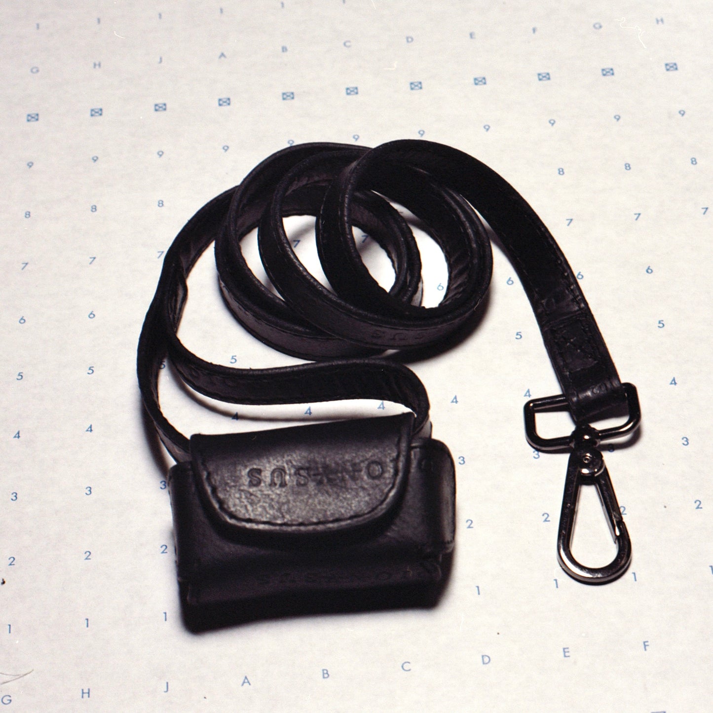 Dion’s Leash
